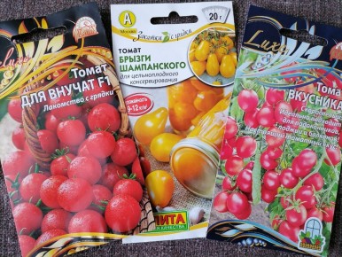 ������ 2026: ������ ����� ��� ����� �������