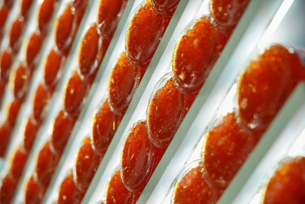 ��� ������� ��������� ������� ���� � �� ����� ������� ��������?