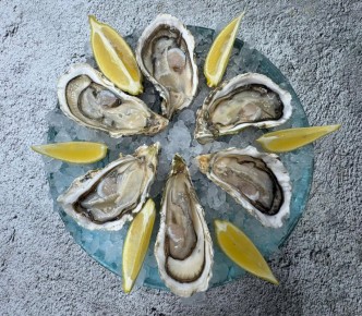 ������� �����: ���������� ���� ����� �����