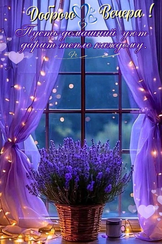 ������� ����������� � �������: �� ������� ��������� �� ������������ ������