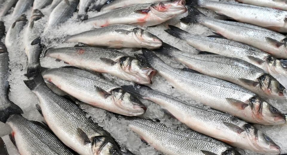 Белоруссия обходит мир: новая рыбацкая сила для России