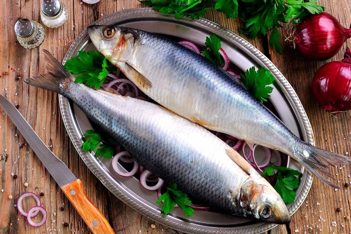 ��� ������� ��������� ������� ������: ������ ���������