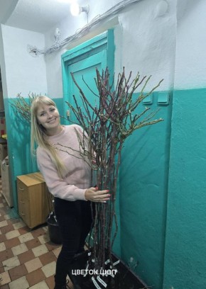 ���� �� ������: ��� ������� ��������� ������� ��� ������ ����