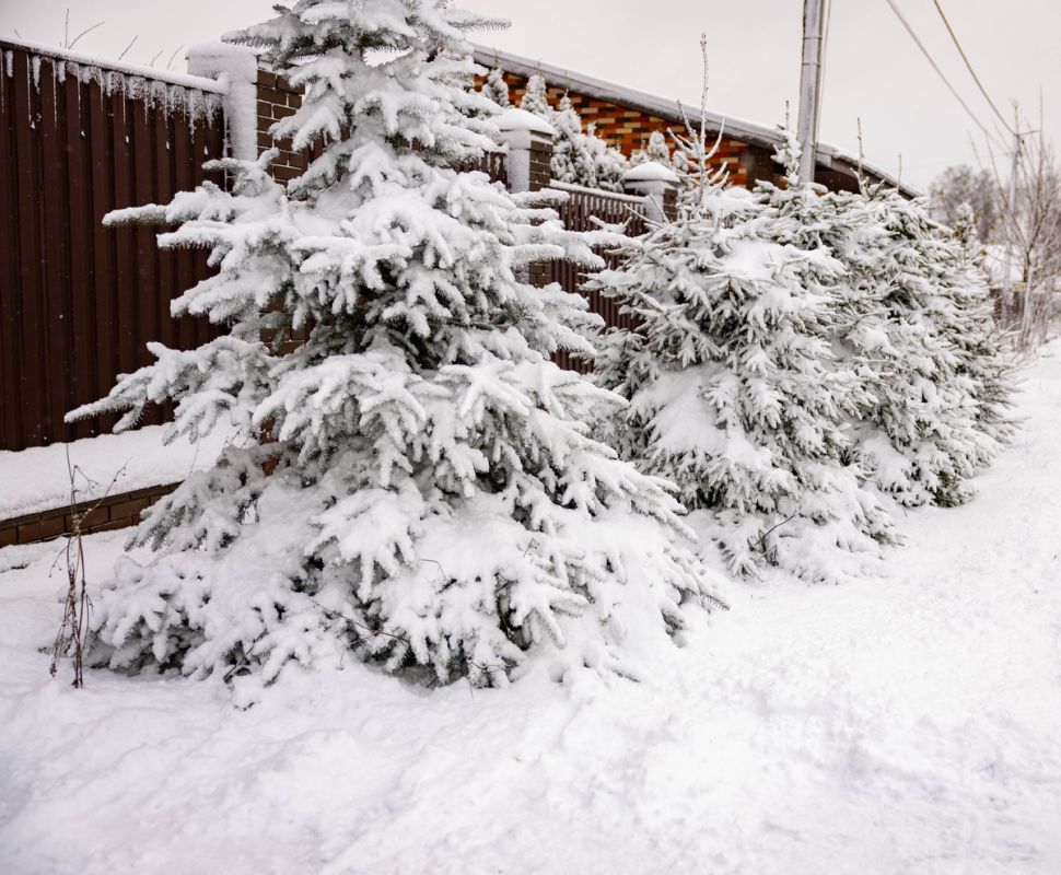 ���� ��������� ������: ��� ������ ������ �������� ��������������