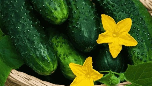 ��� ������� ������ �������: ������ ����� ��� ������ ����