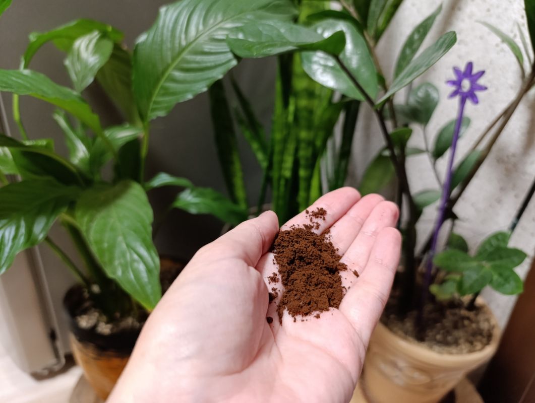 �������� ����: ������ �������� ����� ��������