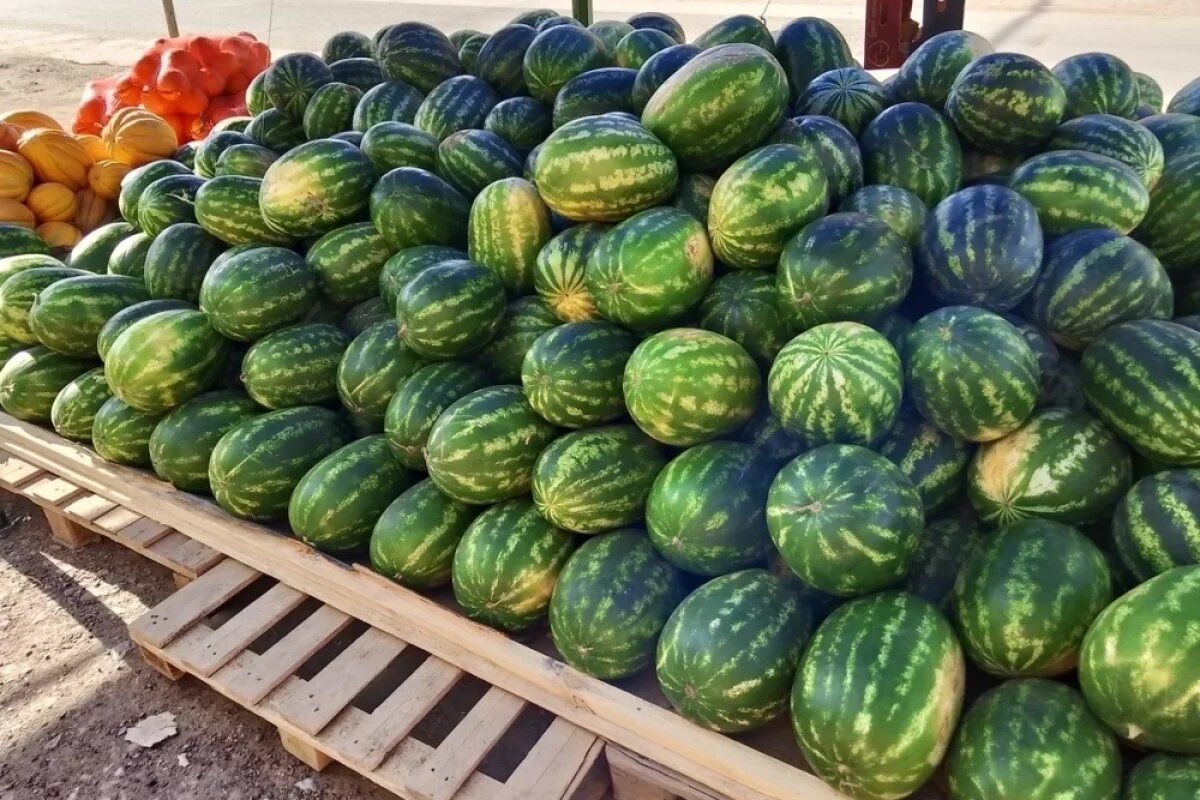 ����� � ����: ������� ����������� � ������� ��� ��������