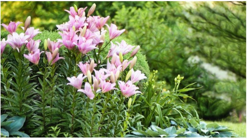 ������� ���������� ����� �� �����������: ��� ����� ���������� ��� ���