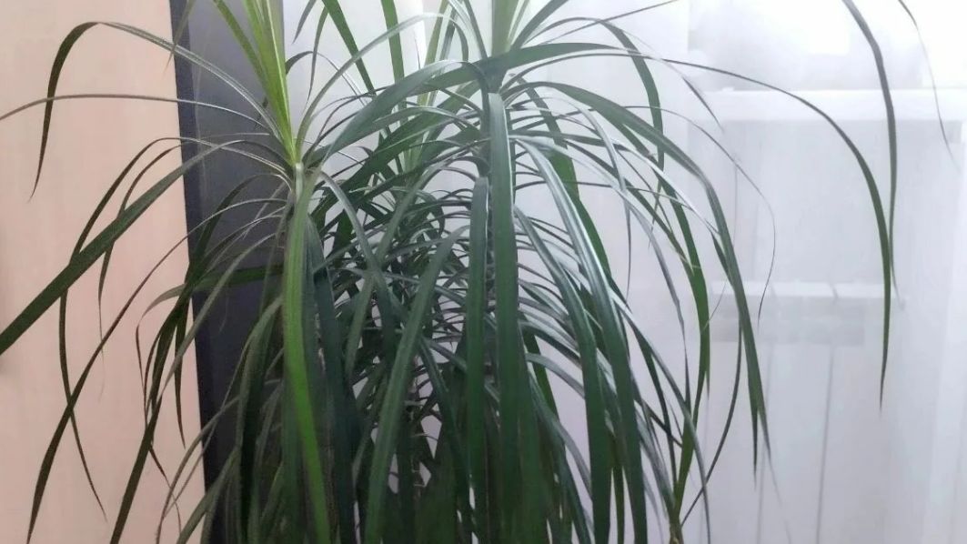 ��� ���������� ����� ������� ����� �������� ������ ������ ��������