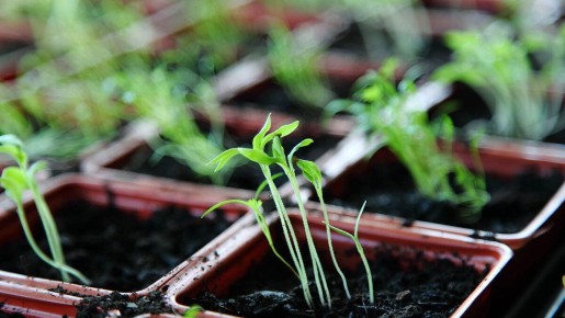 ��� ������ ���������� �������: ������������ ������ ��� ���������