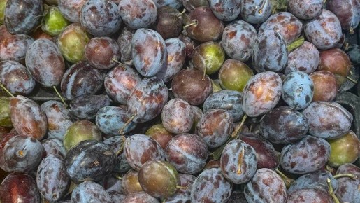 ����� ��� ����������� ������������: ����� �� ����� ����������