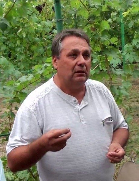 �������� ������: ����� ����� � ���� �����������