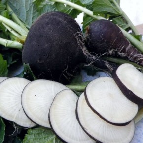 Вкус горечи: удивительный путь к здоровью через необычные продукты