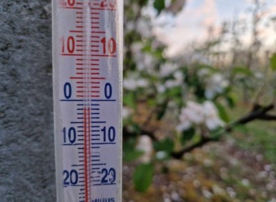 Как сохранить тепло в теплице: простые методы защиты от заморозков