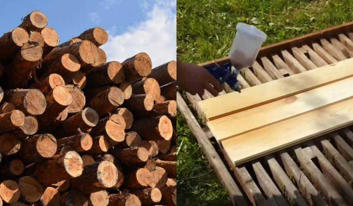 ��� �������� ��������� �� �������: ����������� ������ ���������