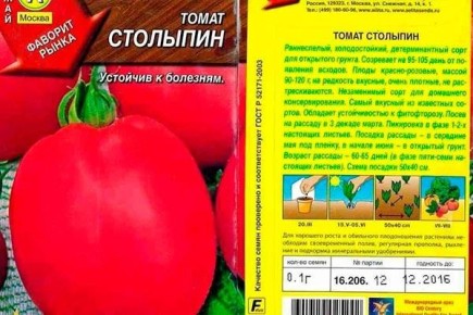 Сливовидный томат Столыпин: идеальный выбор для огородников