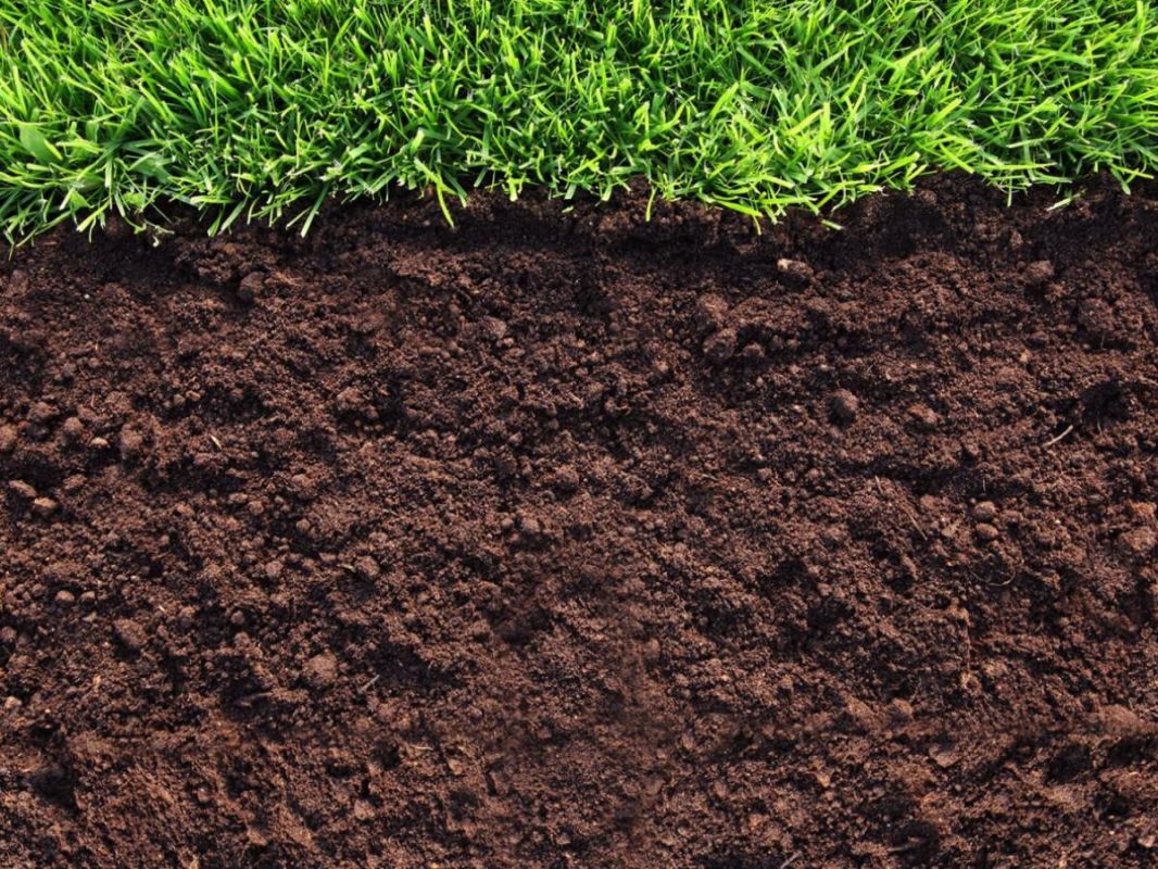 ��� ������� ��������� ������� ��� �������� ������ � �������� ���������� ������ ����