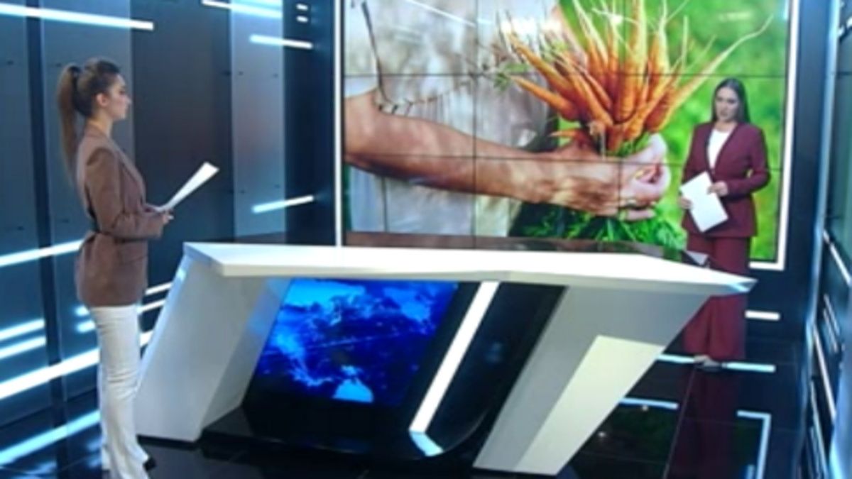 ������ �������� ���� ��������������