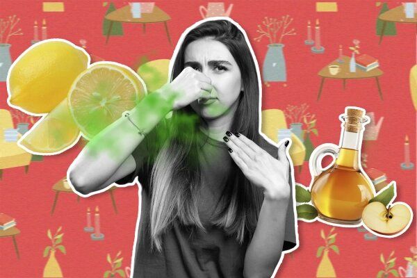 ��� ������ � ��������� �������� ������ � ��������: ����������� ������ ��� �����