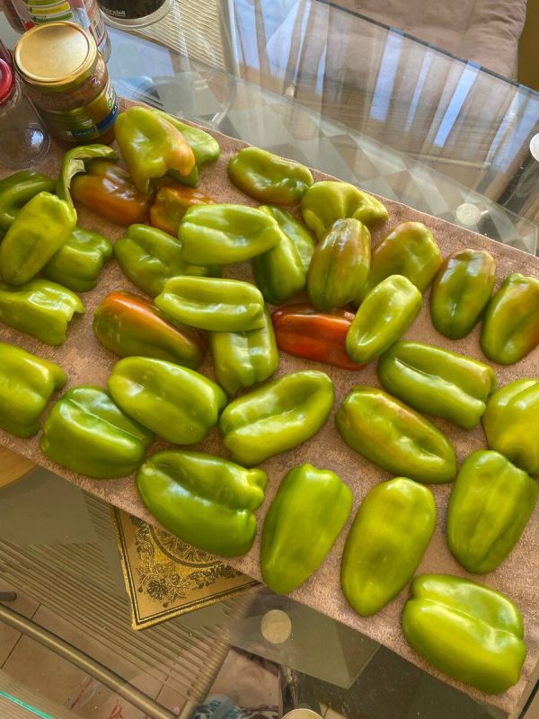 ������� �� ����: ������� � ����� ���� ��� �������� ���������