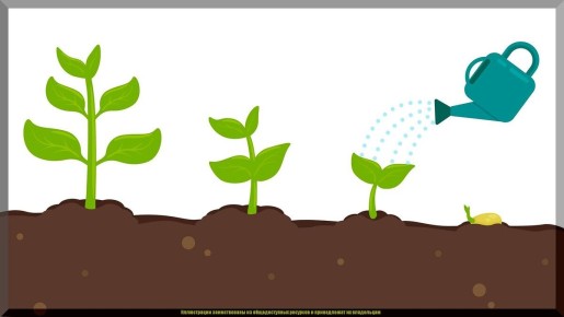 ��� ���������� �� ����������: ��������� � ����������� ������������ ��� ������ ����