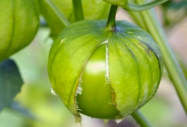 ����-�����: ������� ��� ������ ��� �������� � �������