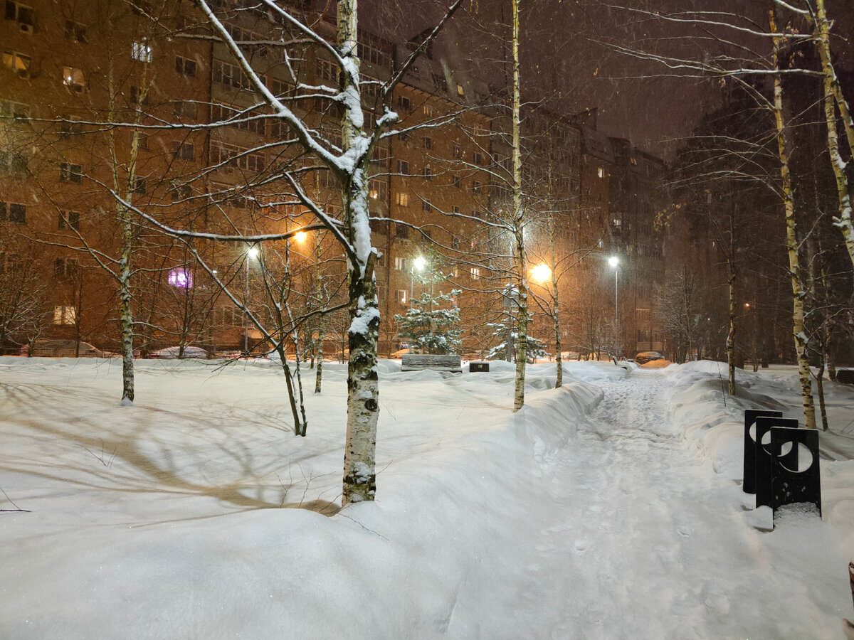 Меню на последние январские выходные: маффины на сметане и другие лакомства