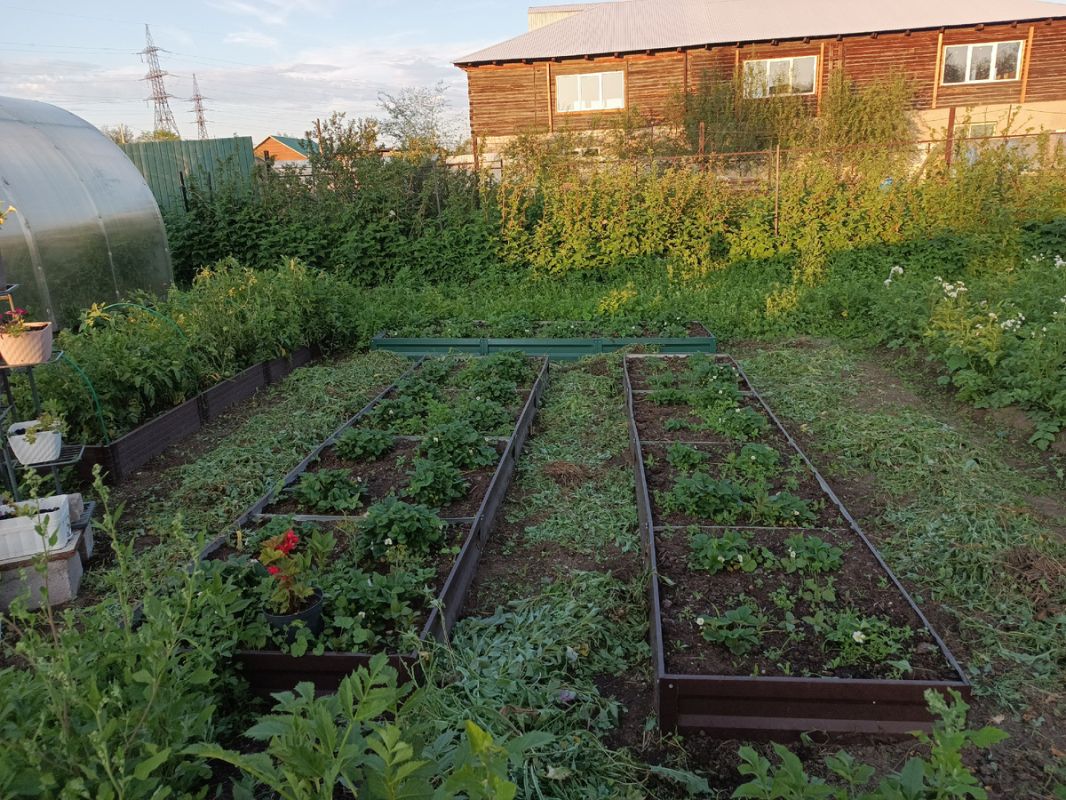 Воскресный день с кулинарными экспериментами