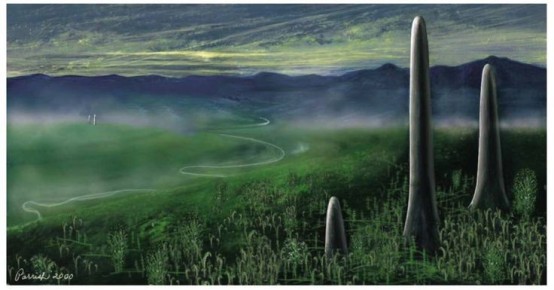 Грибы: молчаливые колонизаторы Земли