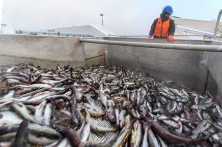 ��� ����������� ���������� ���� �� ��������: ����� ������