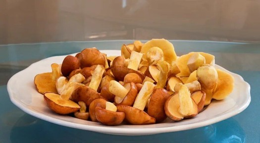 Маслята: как правильно варить и готовить эти восхитительные грибы