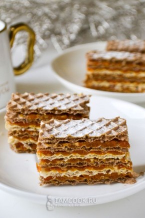 ������ ��������: ������������ � ������� � ������� ��������