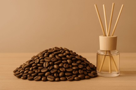 ������������� ������������� � ����: ��� ��� ������ �� ����