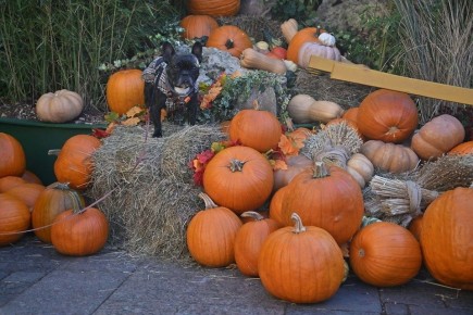 �����: ������ ��������� � �������� ��� ������ �����������