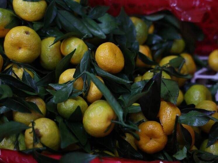 Тонну мандаринов пытались провести на Южный Урал под видом винограда