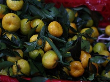 Тонну мандаринов пытались провести на Южный Урал под видом винограда