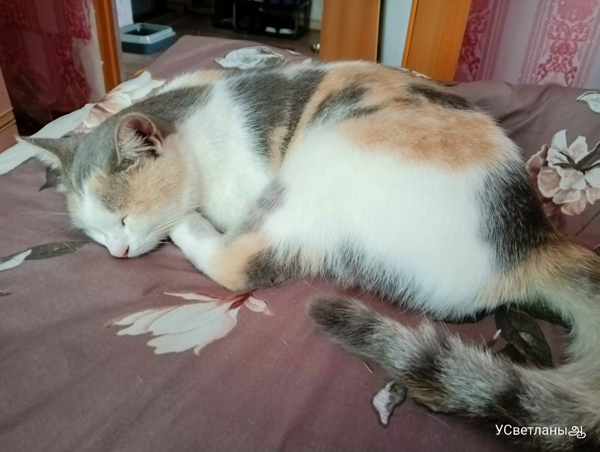 Теплый вечер с баклажанами и прогулкой под закатом