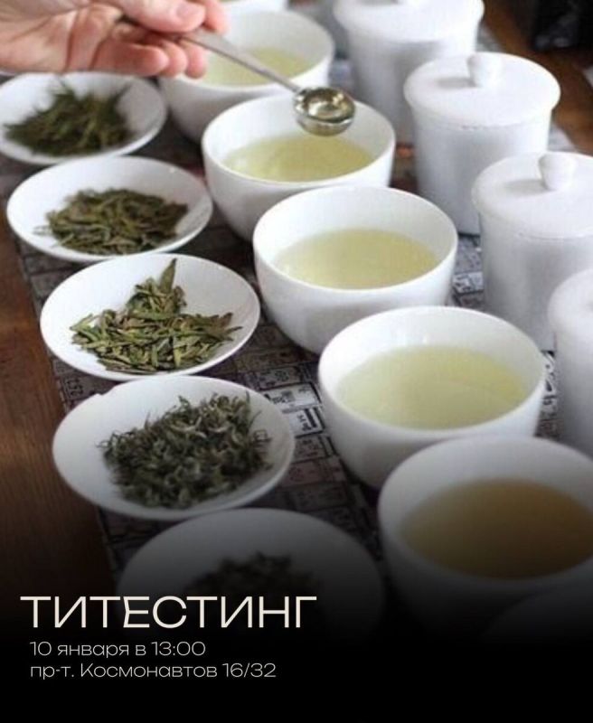 Погружение в искусство трёх чаев: выбери и оцени вместе с нами