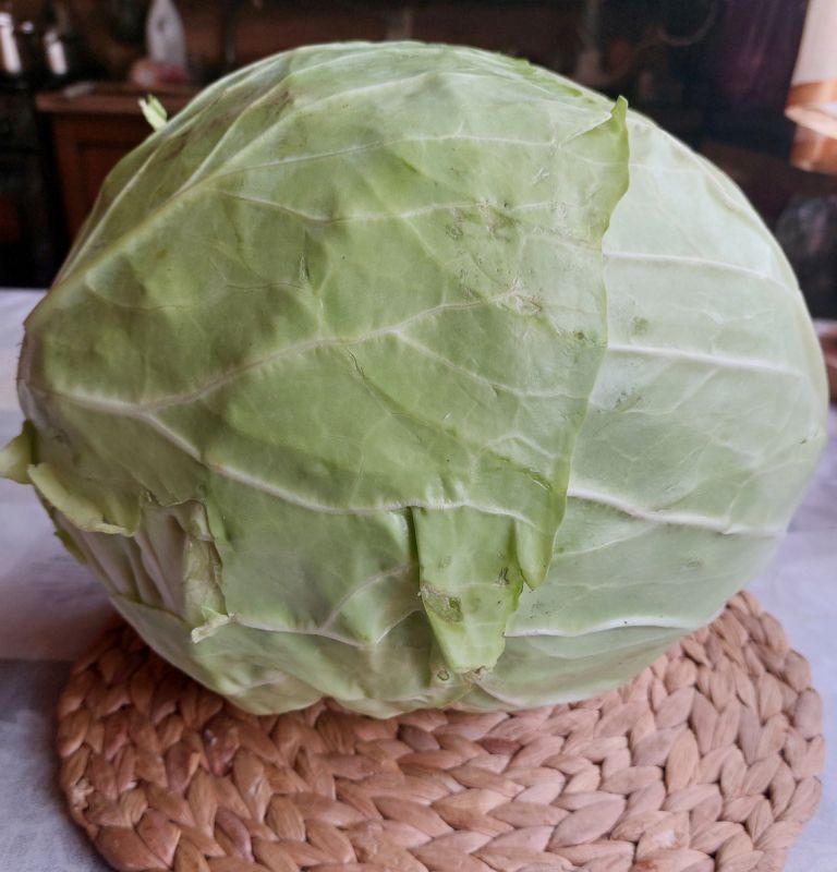 �������: ������������� ���� ��� �������� � �������