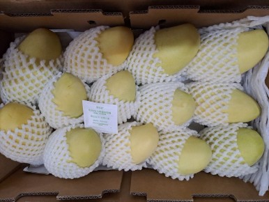 �� ����� ��������� ���� � ��������: �������� ���������� ���������