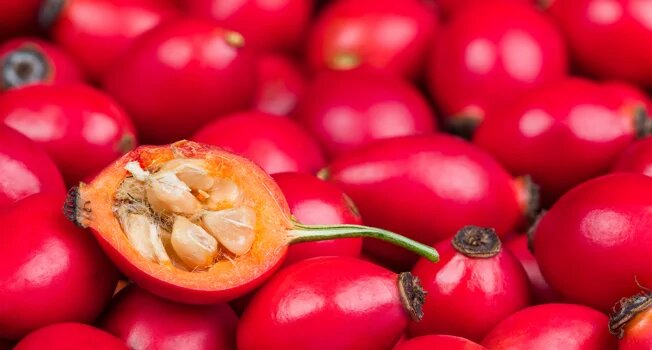 Шиповник: витаминный герой или враг для здоровья?