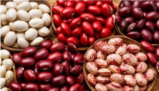 ������������� ��������: ���������� ��������� ������ � ������