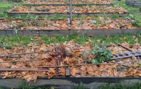 ������� �������� �� ����: ��� ��������� ������ � ��������� ���������