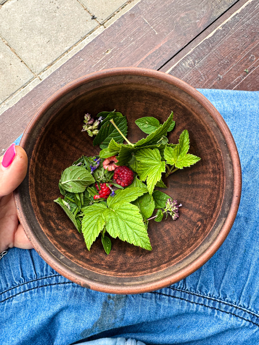 Создание пряной грядки: простые идеи и вдохновение