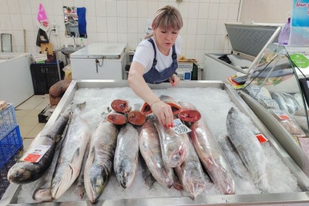 Падение доходов: Вылов рыбы в России недооценен