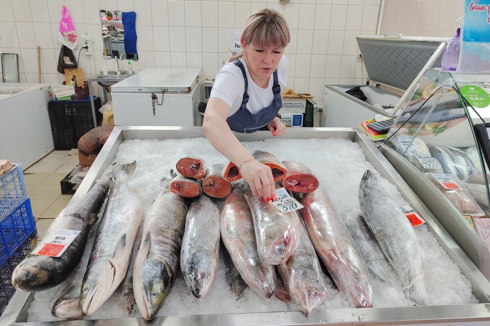 Падение доходов: Вылов рыбы в России недооценен