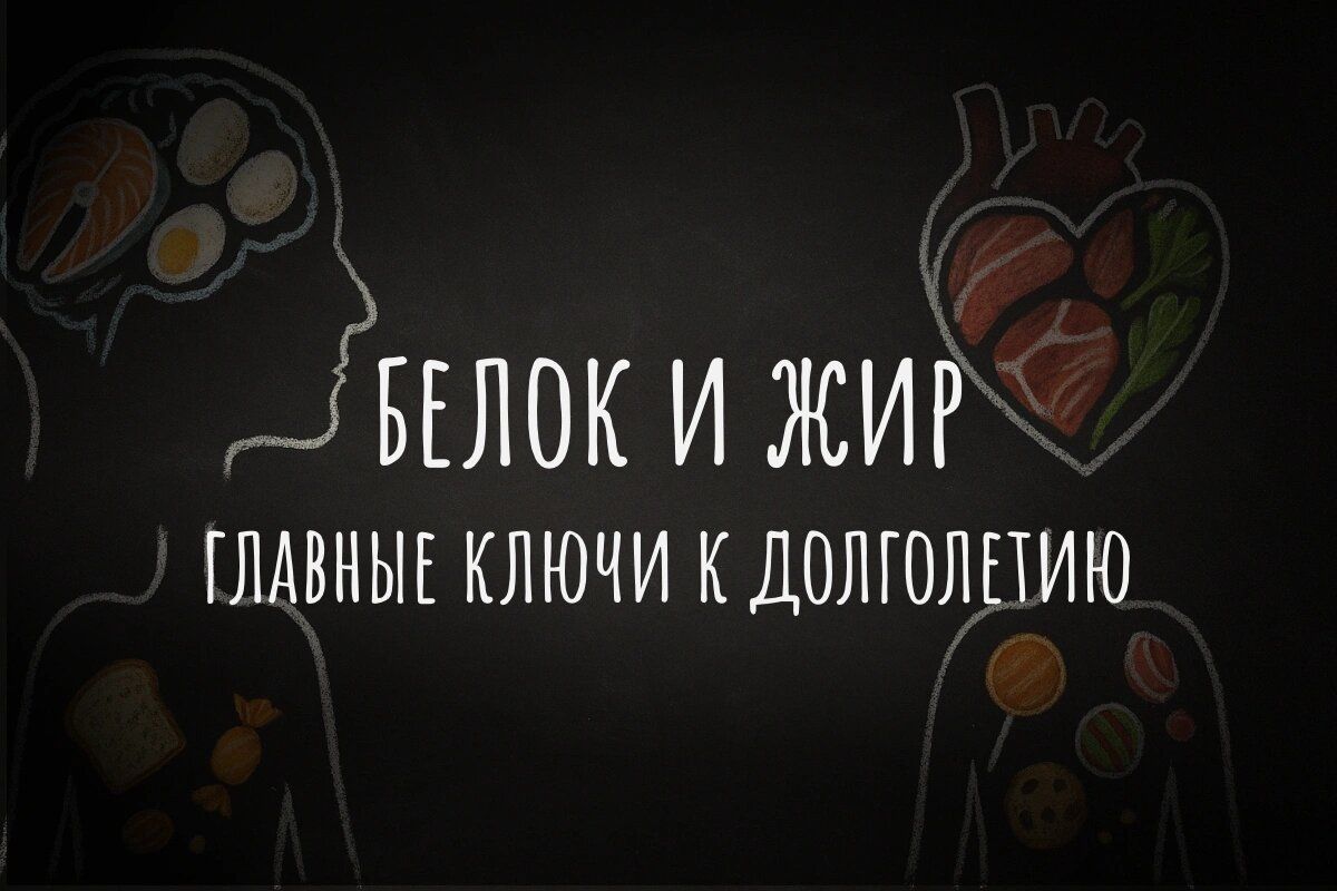 Строительные материалы для здоровья: почему продукты животного происхождения незаменимы в рационе