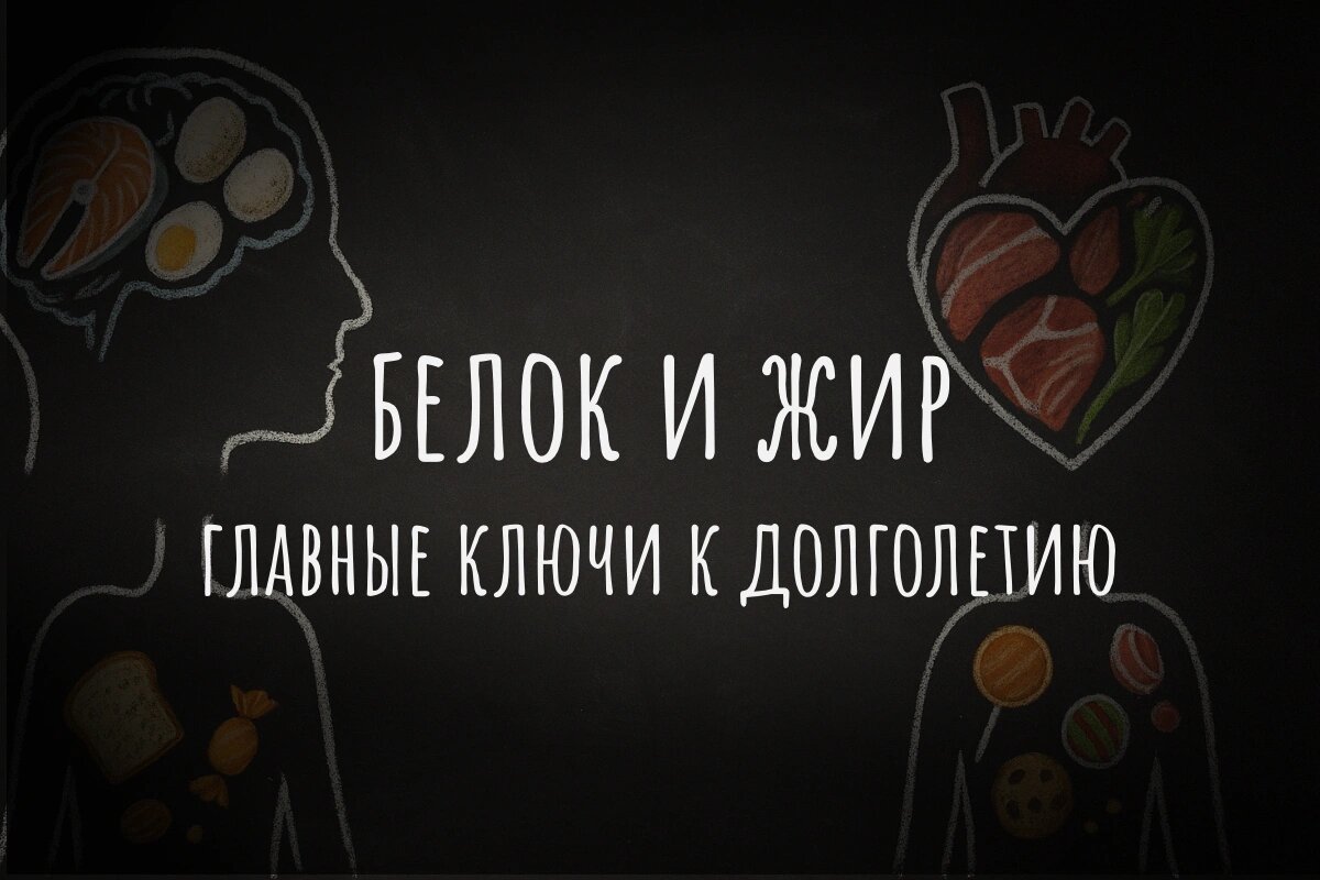 Строительные материалы для здоровья: почему продукты животного происхождения незаменимы в рационе