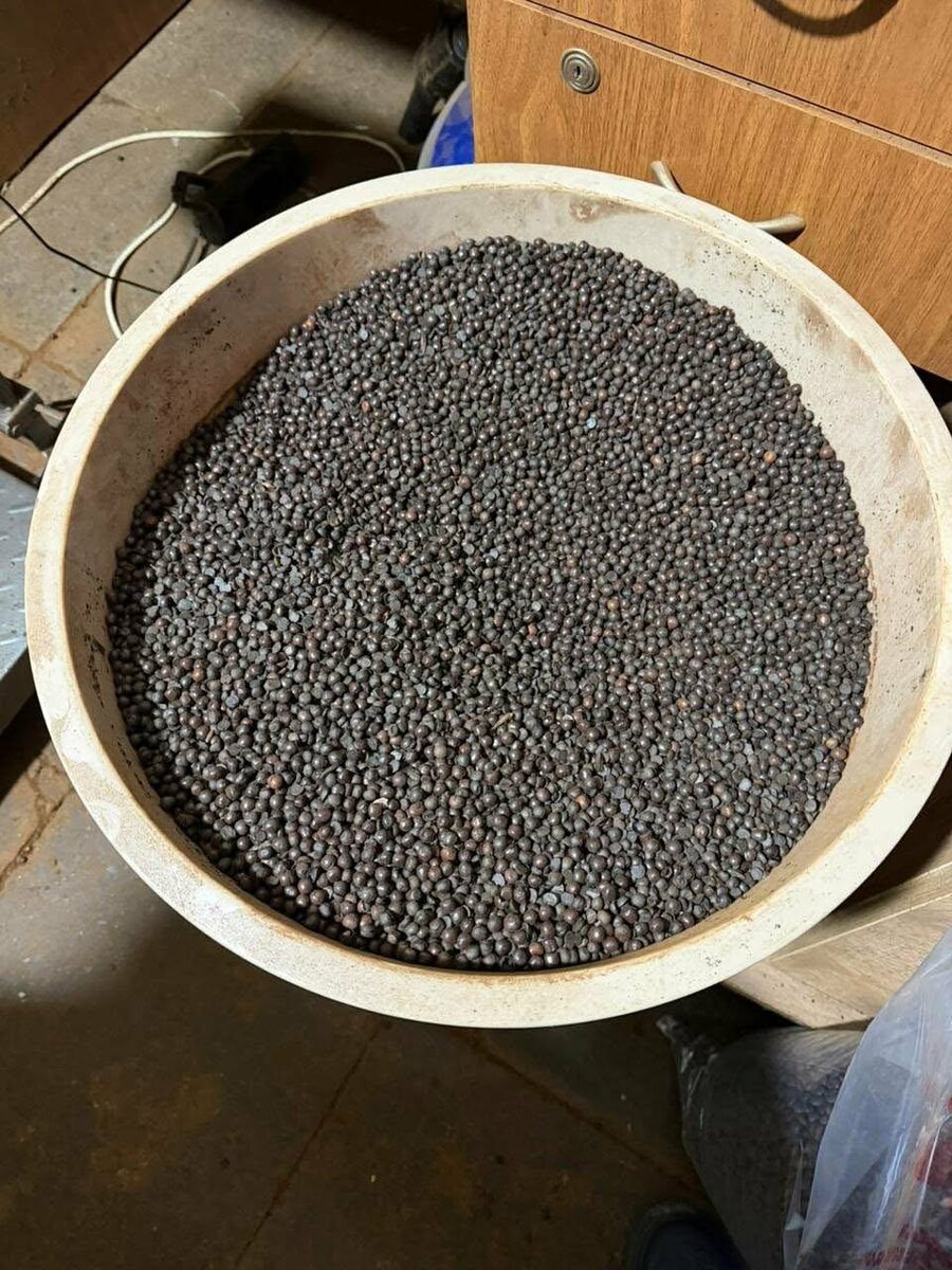 В кофейной индустрии Грузии обнаружены серьезные нарушения