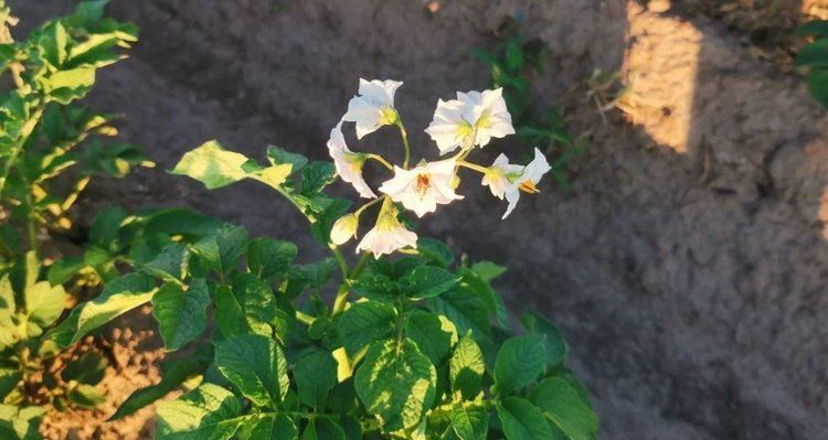 �������� ��������� �������� ����� ����� � ���� ������� �����